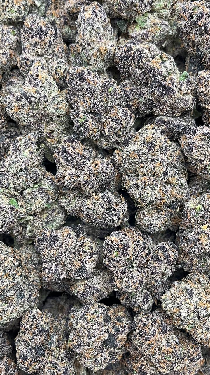 Blue Permafrost - PK174