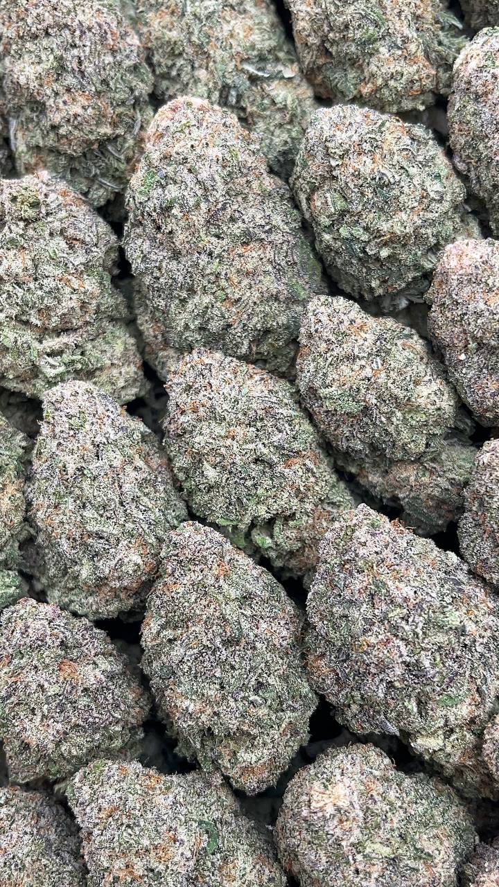 Miracle Cookies - PK618