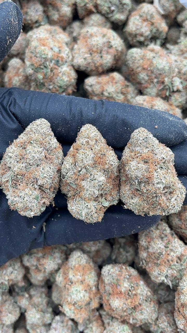 Carbon Fiber - PK671