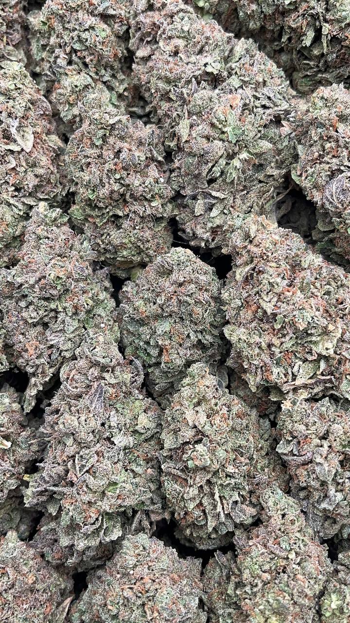 Ice Cream Cake - PK641