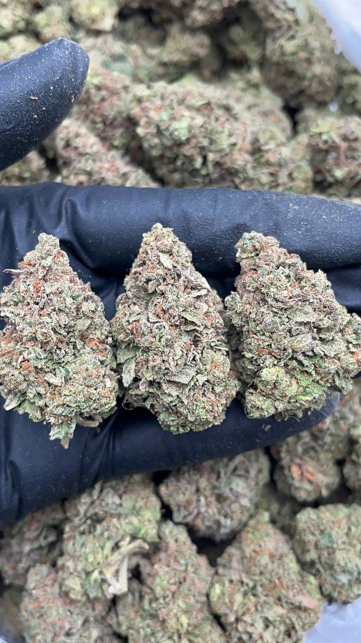 Ice Cream Cake - PK641