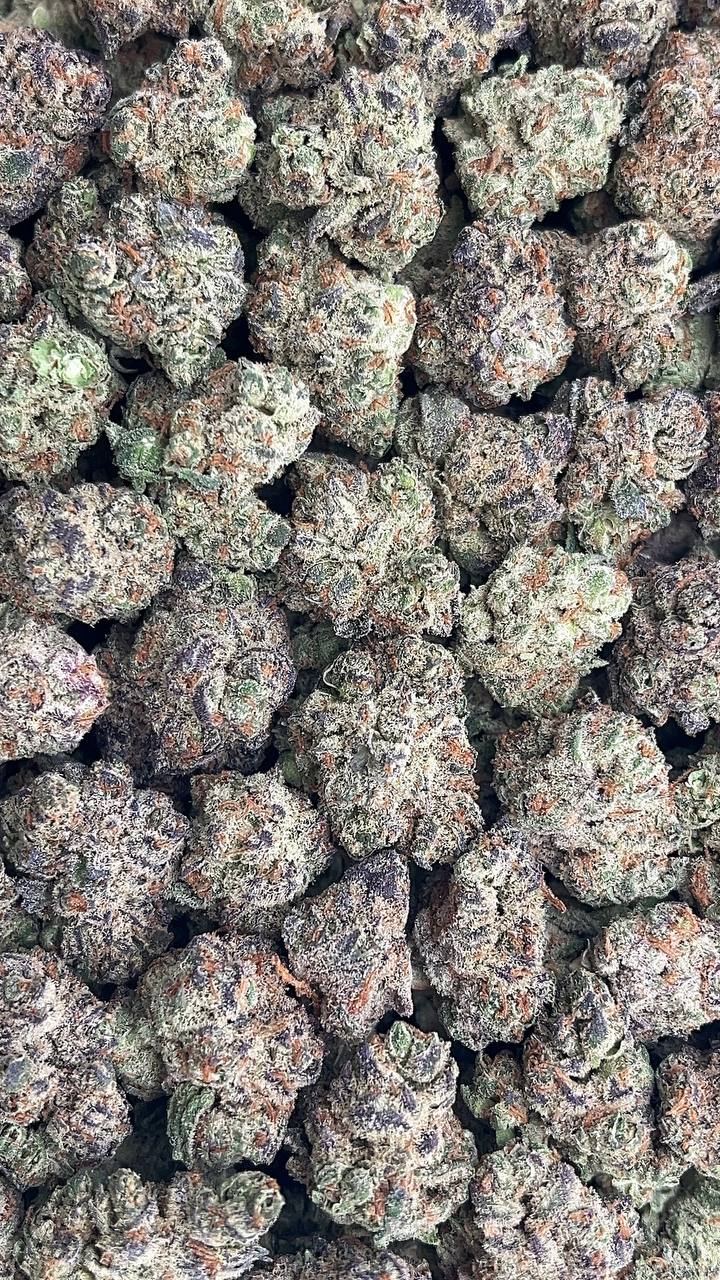 Gelato Punch Smalls - PK653