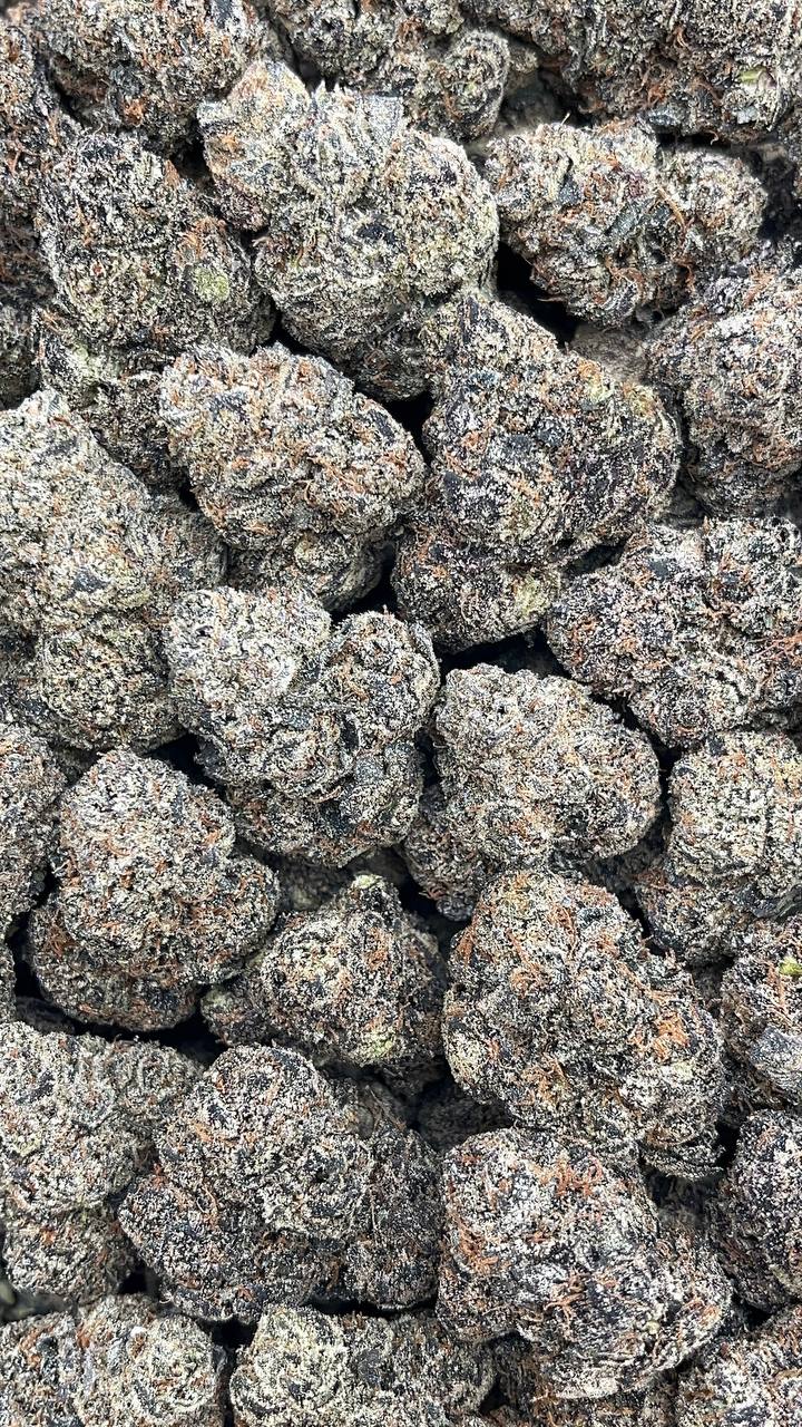 Dutch Bubblegum - PK663