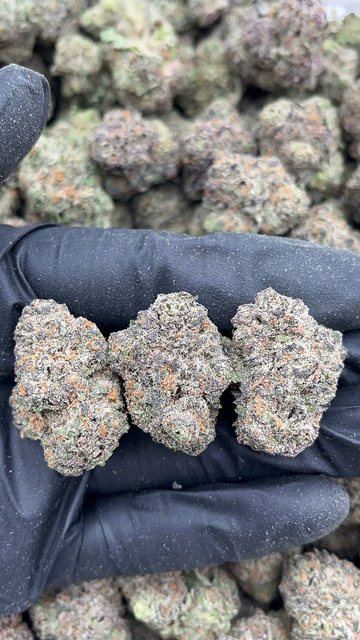 Romulan Grapefruit - PK590