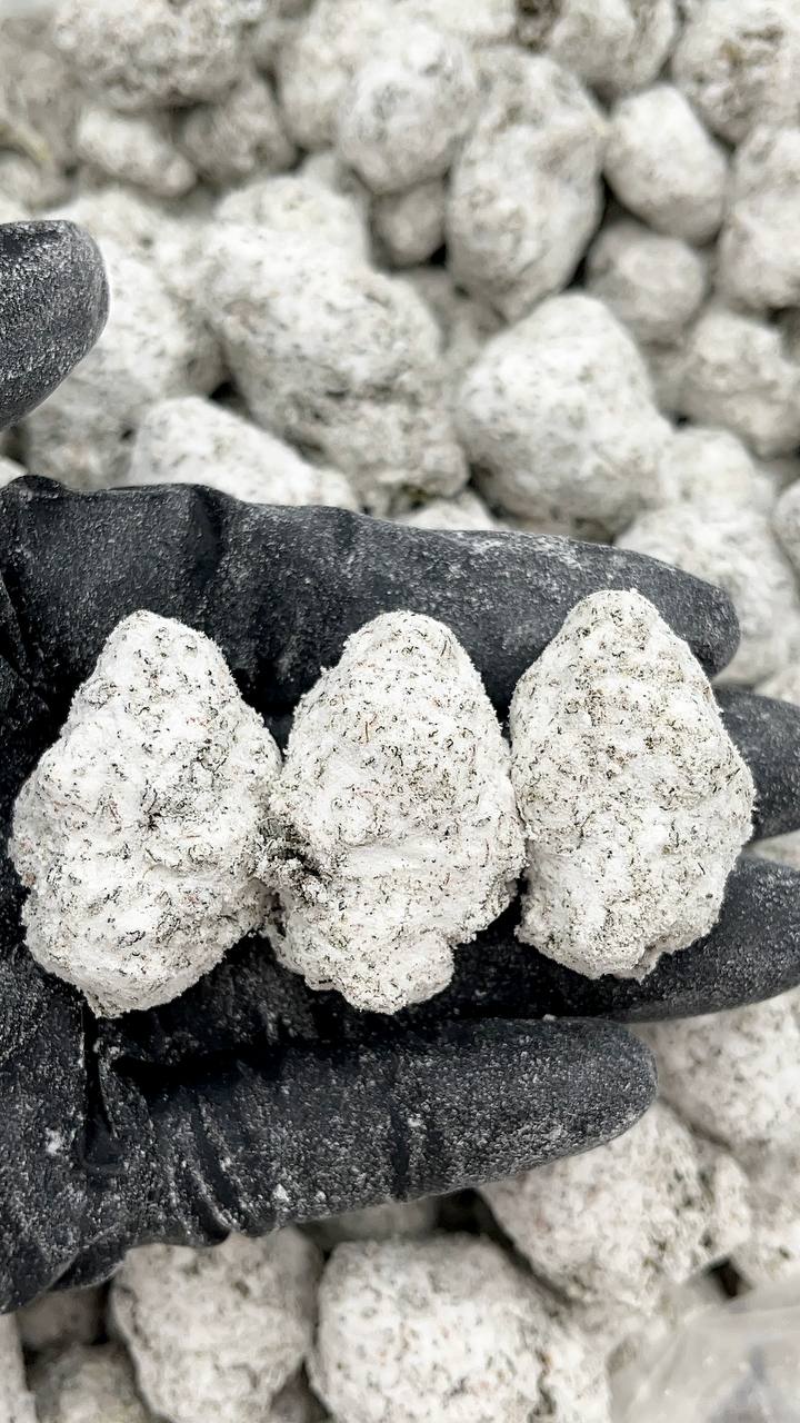 🔥Special🔥 Snow White - PK288