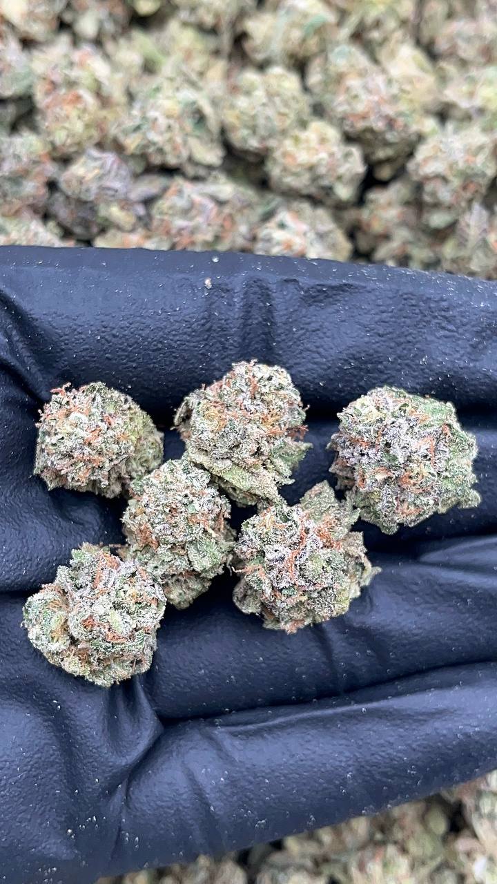 Wild Cherry Smalls - PK381